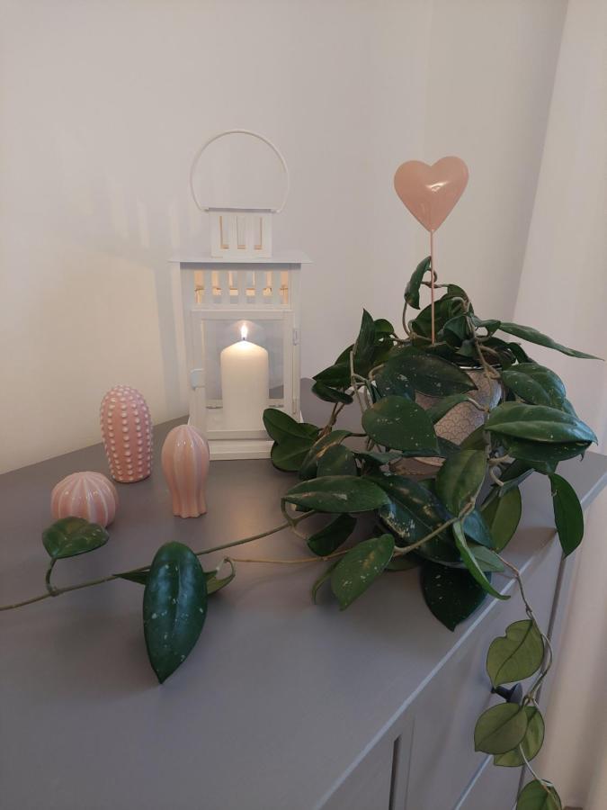 Helles Modern Eingerichtetes Apartment Halle  Luaran gambar